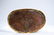 A Chinese Bronze Gilding Buddha Statue - 11