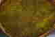 item-100589292=2