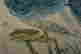 item-100589320=3