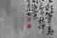 item-100602671=14