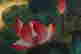 item-100602672=2