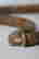 item-115074521=4