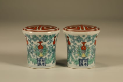 Pair of Doucai Flower Pattern Porcelain Painted Scroll