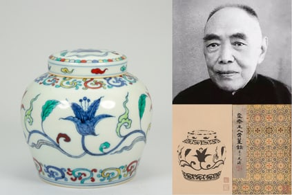 A DOUCAI 'HIBISCUS' JAR