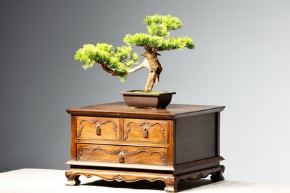 Huanghuali Wood Carved Flower Pattern Box