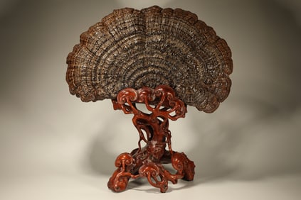 Reishi Mushroom Table Plaque