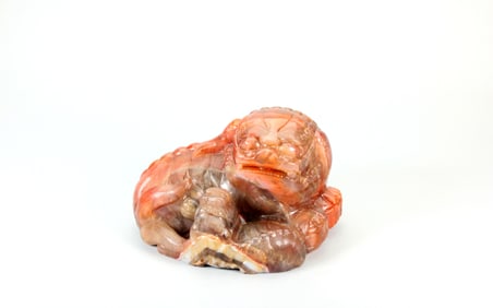 A NANHONG AGATE CARVING OF LION AND CUB
