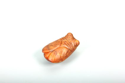 A JADE CICADA