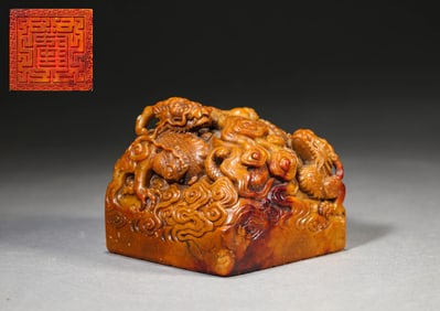A Shoushan Stone 'Dragon Teaching Offspring' Seal