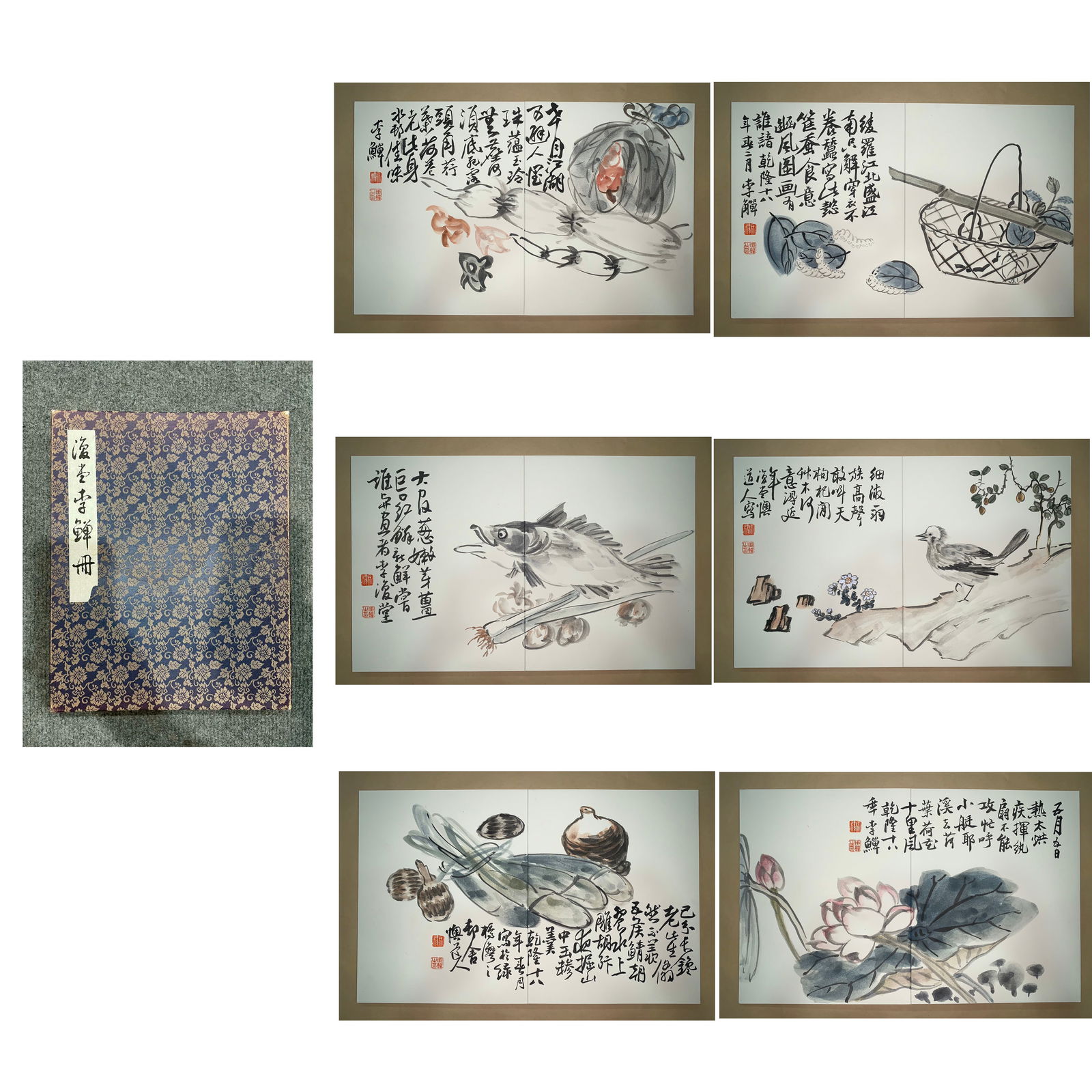 Chinese Drawing Flower and Fish Painting Album,Li Shan Mark: Chinese Drawing Flower and Fish Painting Album,Li Shan Mark (30 x 48cm)