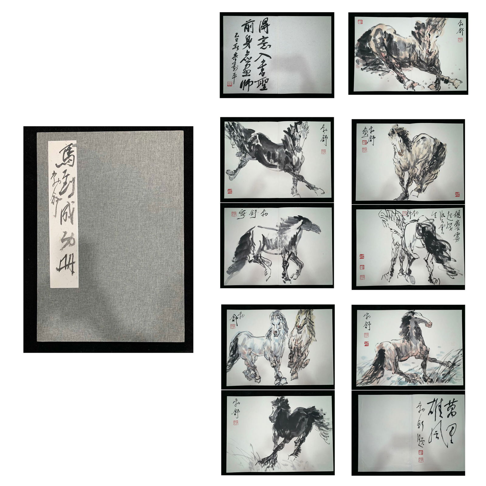 Chinese Drawing Horse Painting Album,Liu Boshu Mark: Chinese Drawing Horse Painting Album,Liu Boshu Mark (70 x 50cm)