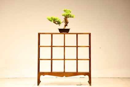 Huanghuali Wood Cabinet