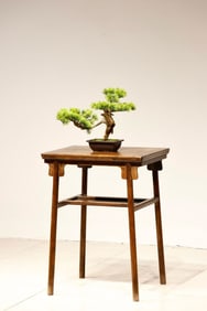 Huanghuali Wood Table