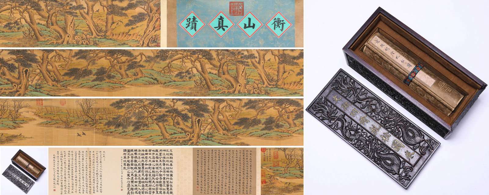 Wen Zhengming (1470-1559), attributed to, Coiling Pines Handscroll: Wen Zhengming (1470-1559), attributed to, Coiling Pines Handscroll (510 x 28.3cm)