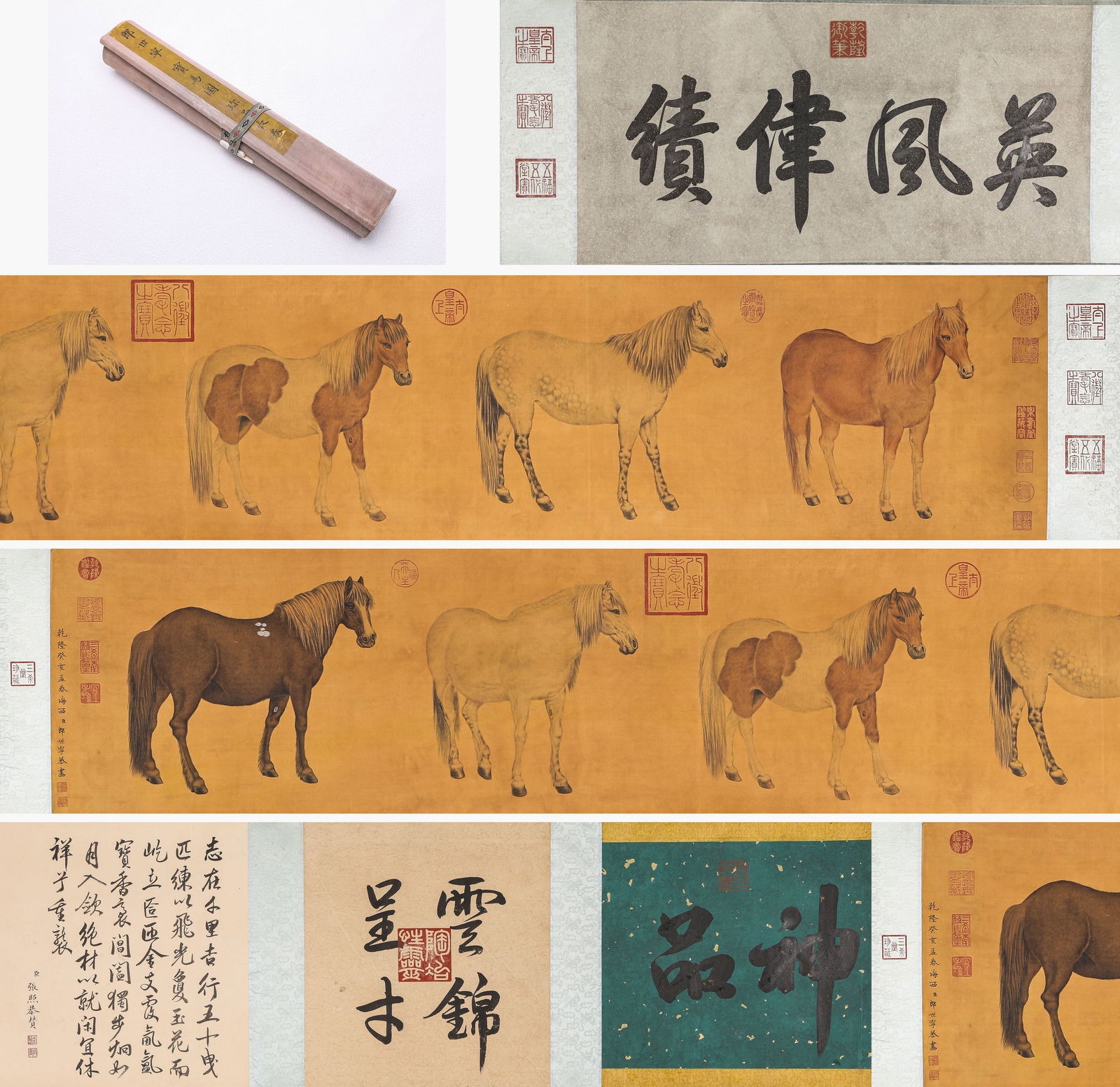 Giuseppe Castiglione (1688-1766), attributed to, Precious Steeds Handscroll: Giuseppe Castiglione (1688-1766), attributed to, Precious Steeds Handscroll (390 x 36.5cm)