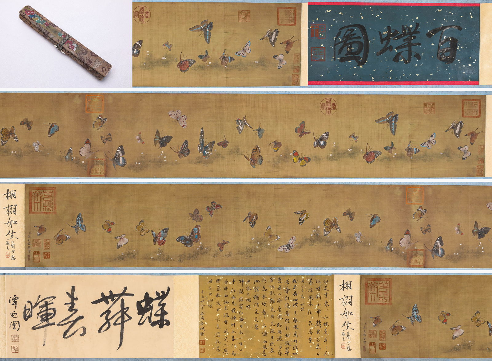 Jiang Tingxi (1669-1732), attributed to, Hundred Butterflies Handscroll (1 of 12)