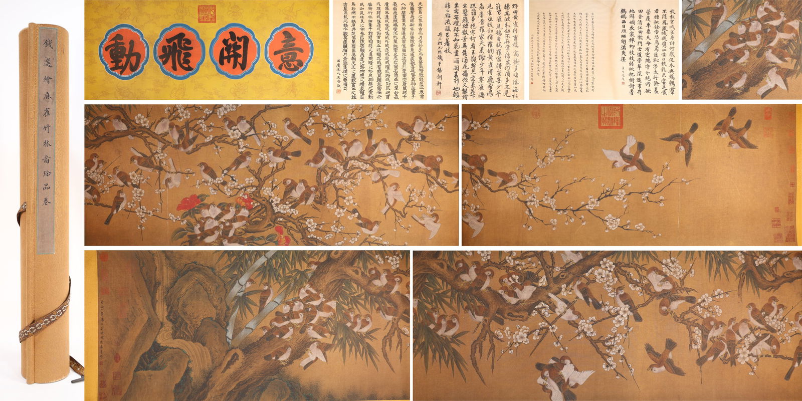 Chinese Drawing Flower and Bird Hand Scroll,Qian Xuan Mark: Chinese Drawing Flower and Bird Hand Scroll,Qian Xuan Mark (725 x 51cm)