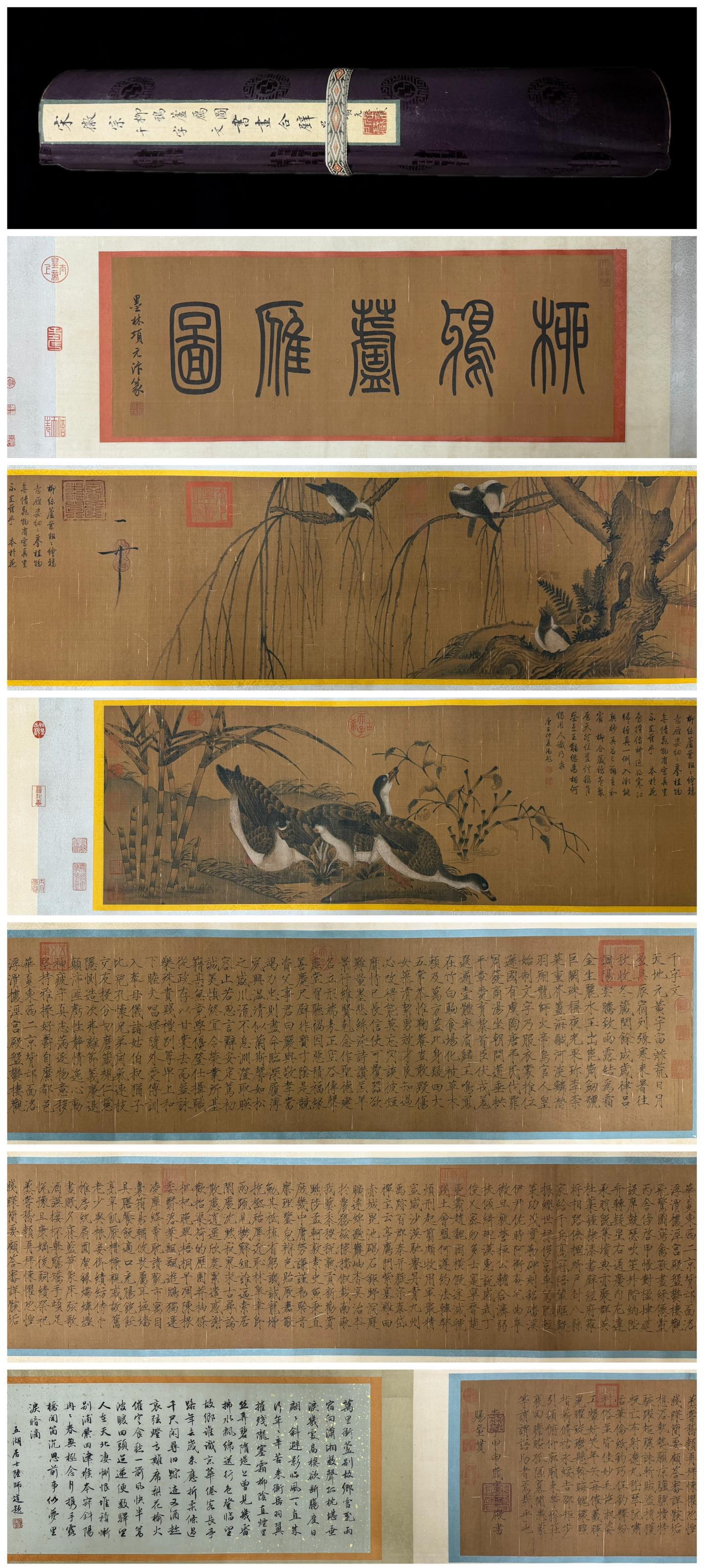 Zhao Ji Mark, Chinese Wild Goose Painting. Ink and Color on Silk, Handscroll (1 of 11)