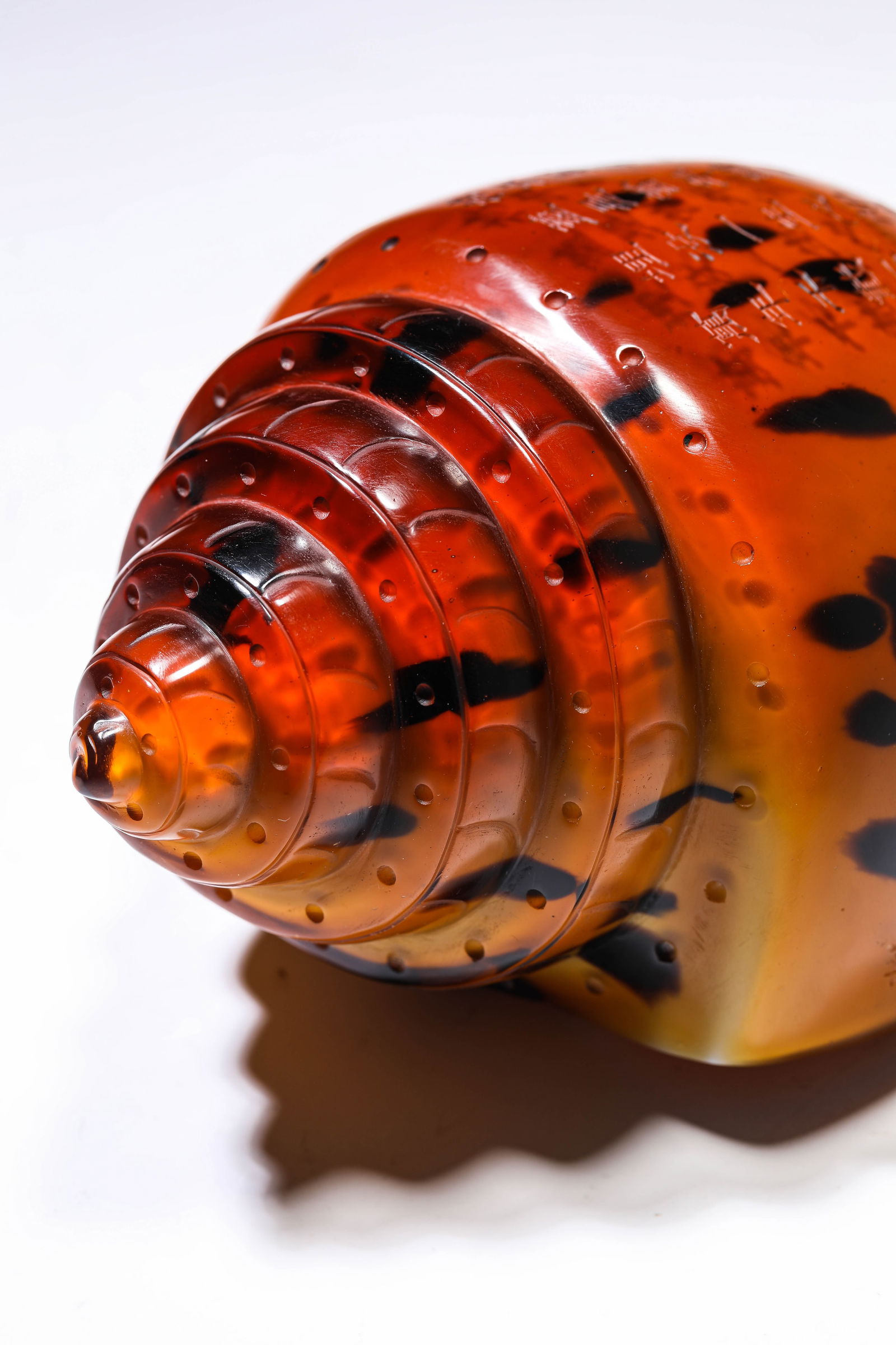 A Glass Conch Shell - 2