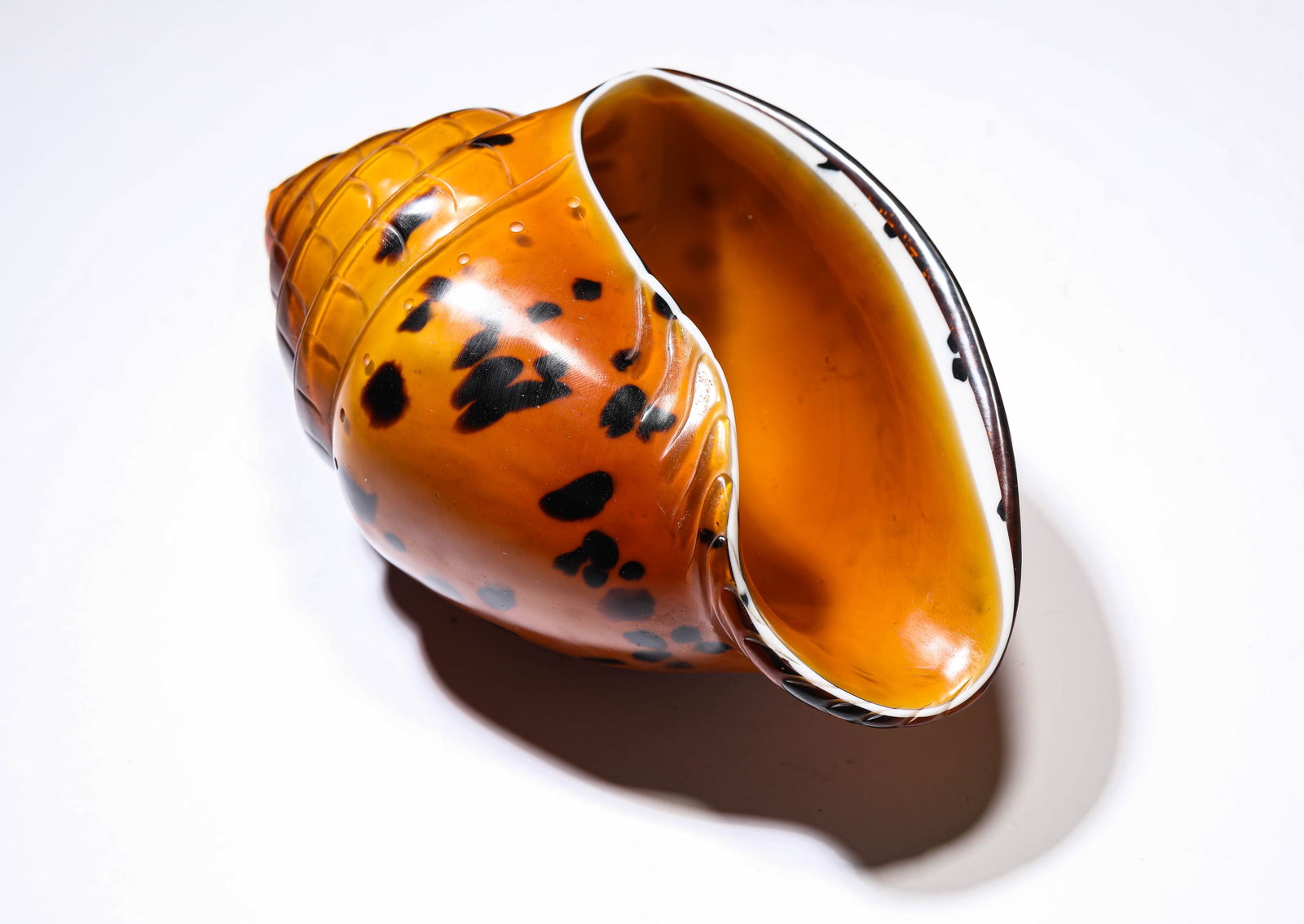 A Glass Conch Shell - 4