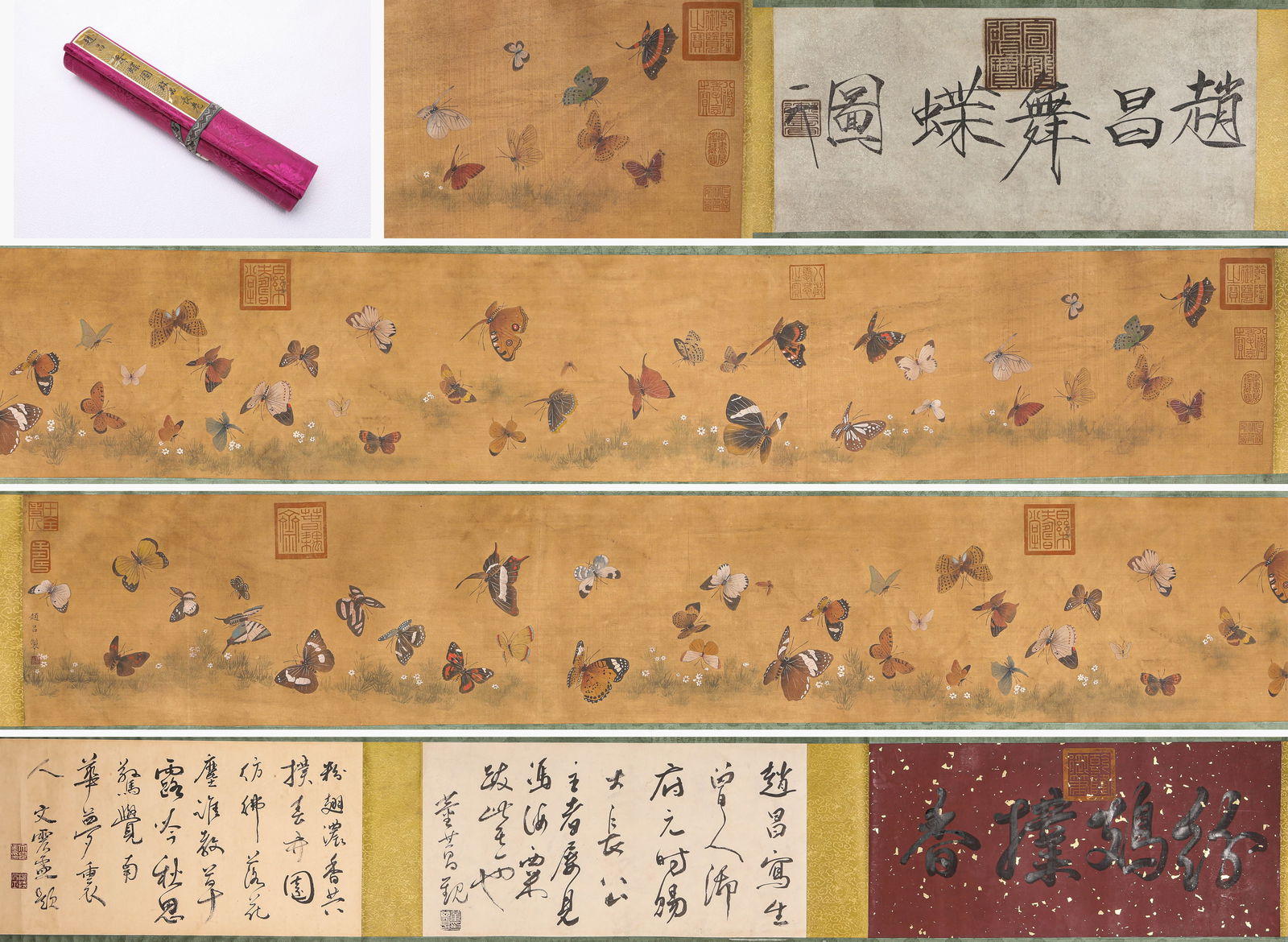 Zhao Chang (act. 11th century), attributed to, Dancing Butterflies Handscroll: Zhao Chang (act. 11th century), attributed to, Dancing Butterflies Handscroll (579 x 35 cm)