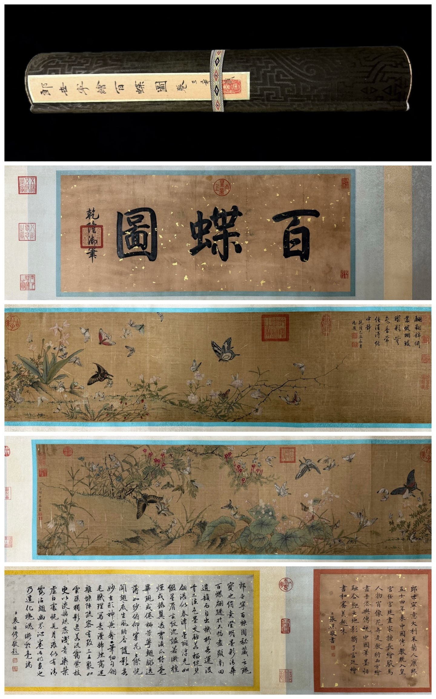 Chinese Drawing Flower with Butterfly Hand Scroll,Lang Shining Mark: Chinese Drawing Flower with Butterfly Hand Scroll,Lang Shining Mark (476 x 39cm)