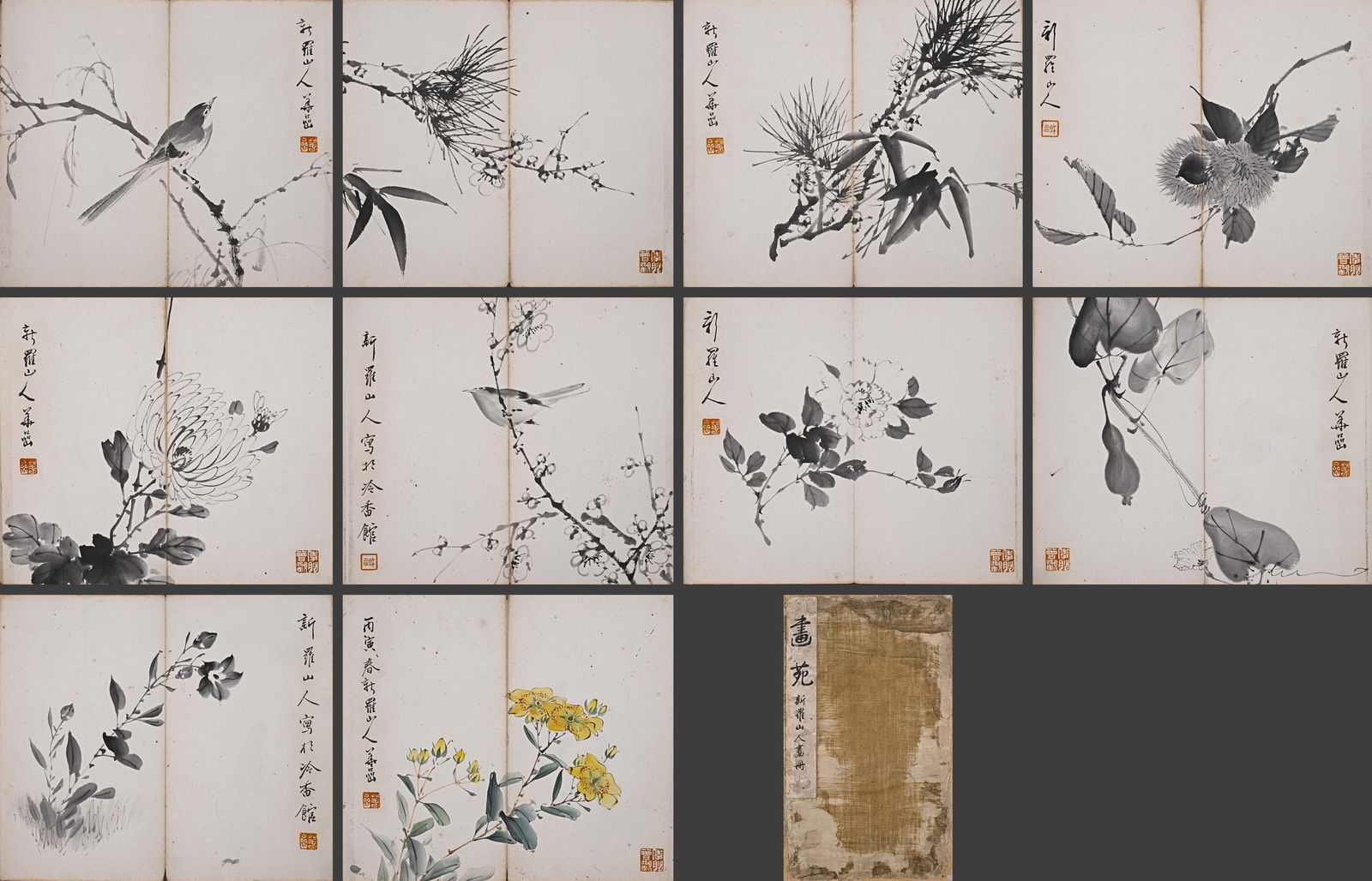 Chinese Drawing Flower and Bird Painting Album,Xin Luoshanren Mark: Chinese Drawing Flower and Bird Painting Album,Xin Luoshanren Mark (15 x 26cm)