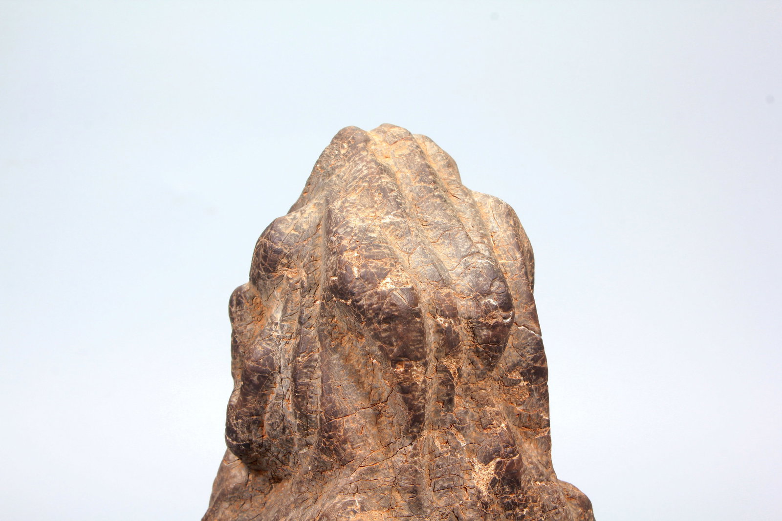 A SCHOLAR'S ROCK - 3