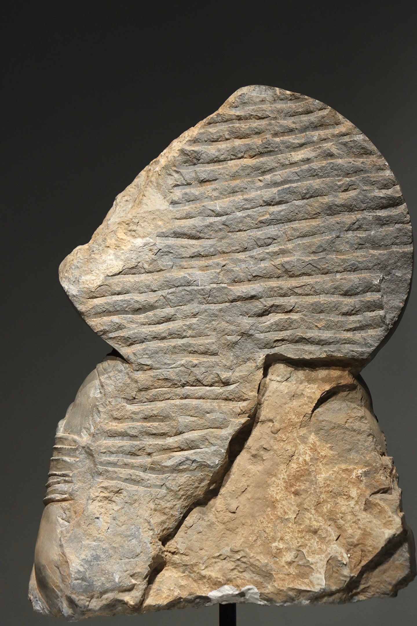 Stone Gandhara Figure - 9