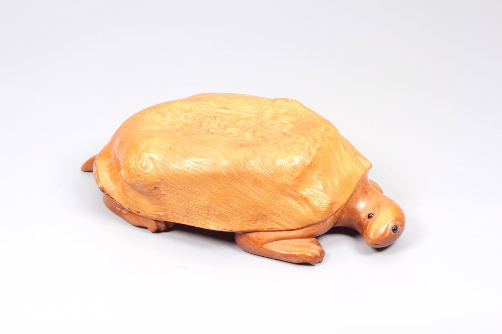 A BURLWOOD TORTOISE (1 of 8)