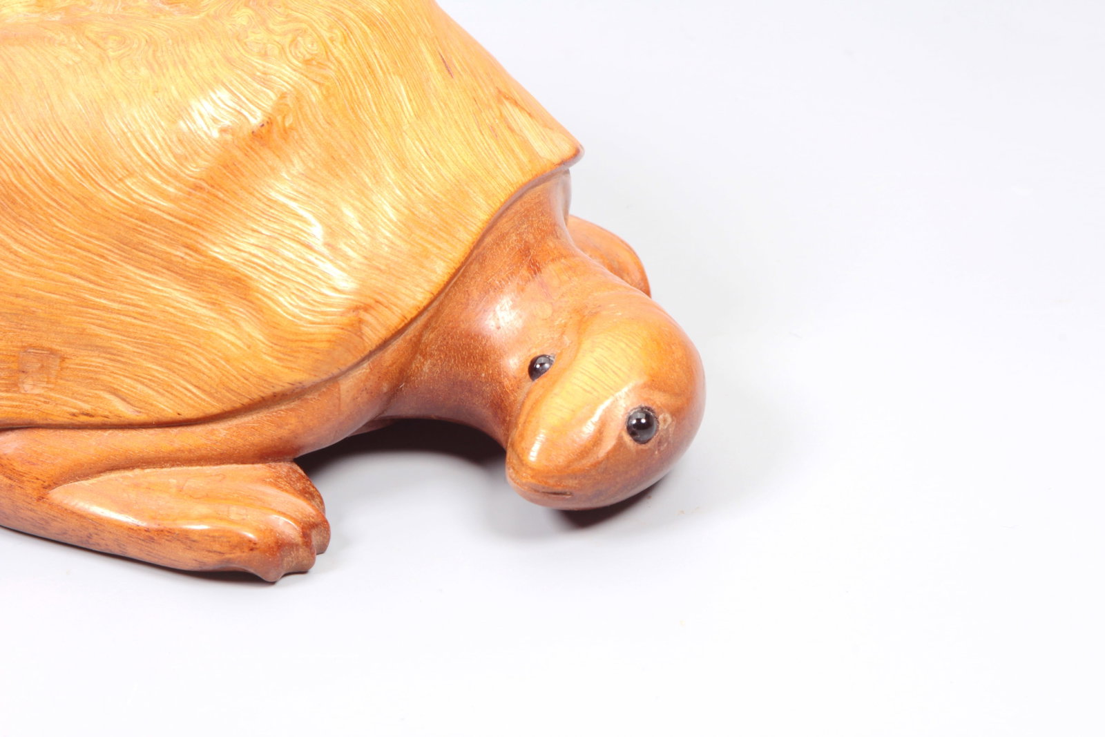 A BURLWOOD TORTOISE - 2