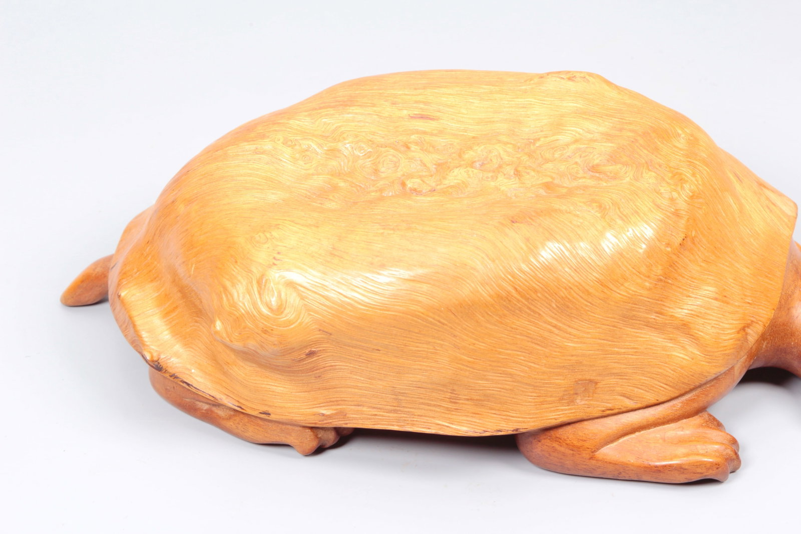 A BURLWOOD TORTOISE - 3