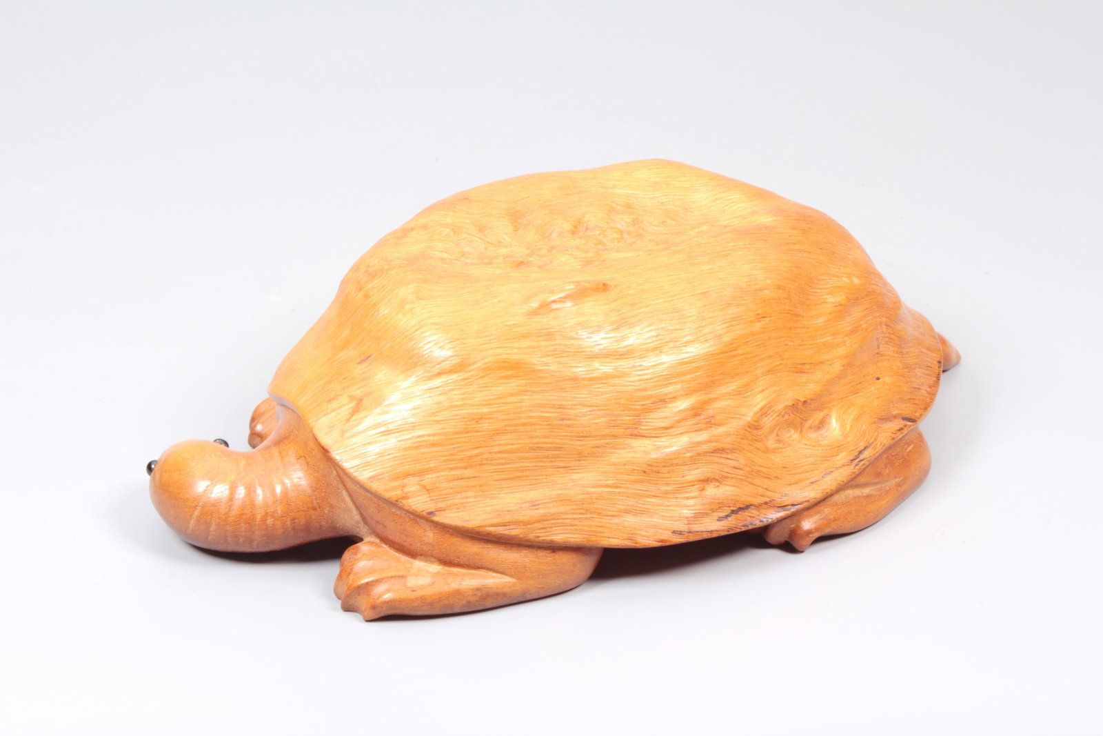 A BURLWOOD TORTOISE - 4