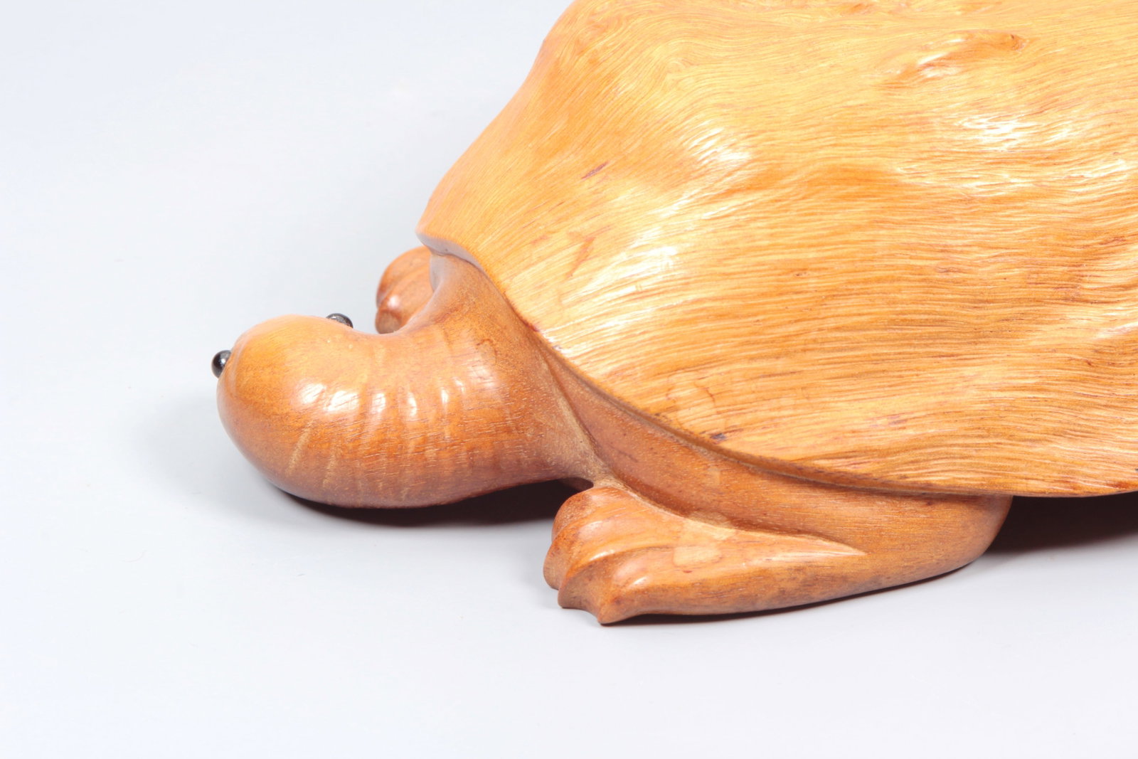 A BURLWOOD TORTOISE - 5