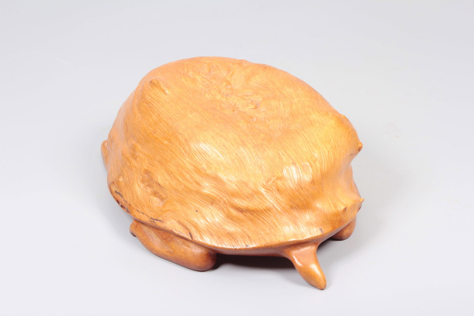 A BURLWOOD TORTOISE - 6