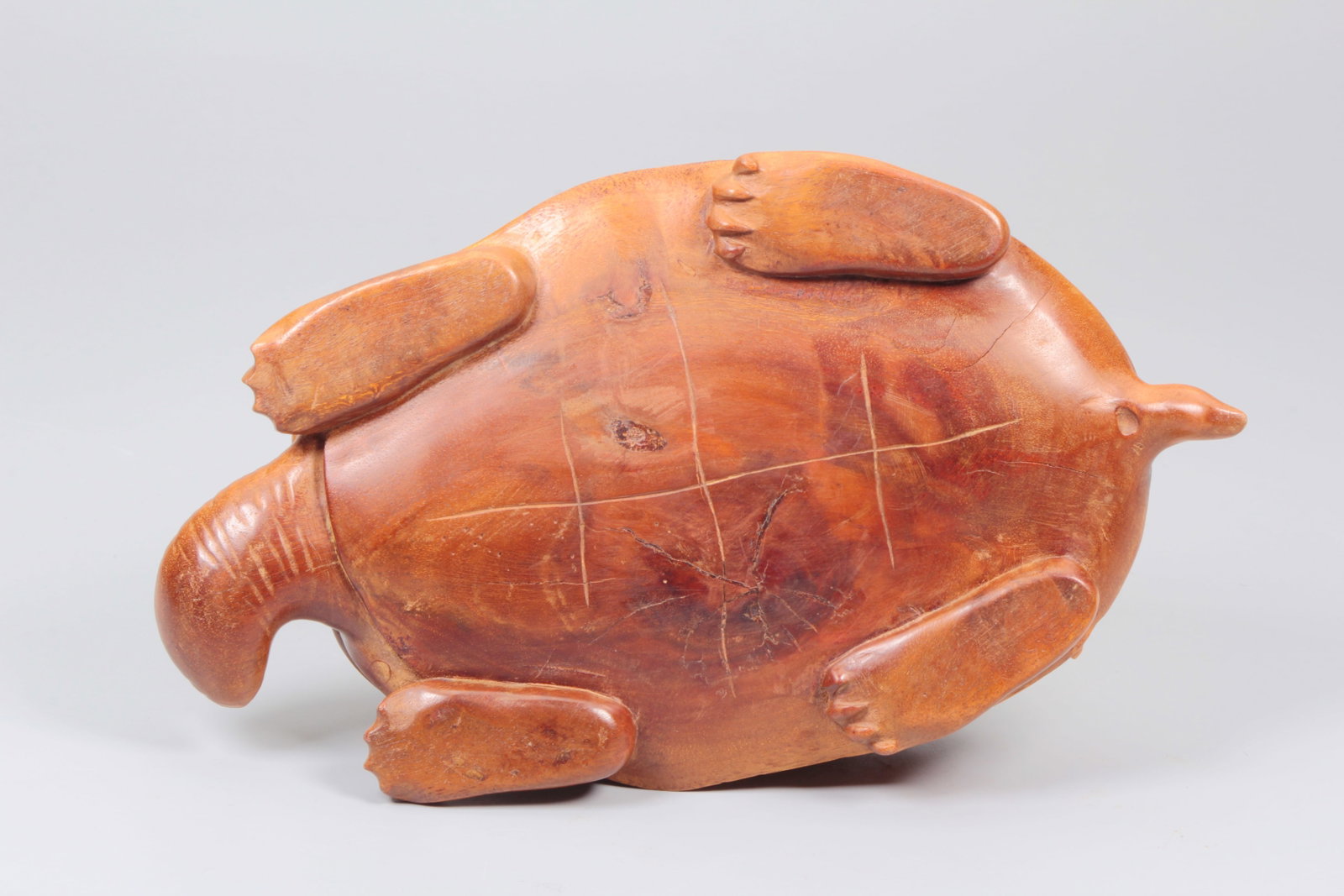 A BURLWOOD TORTOISE - 8