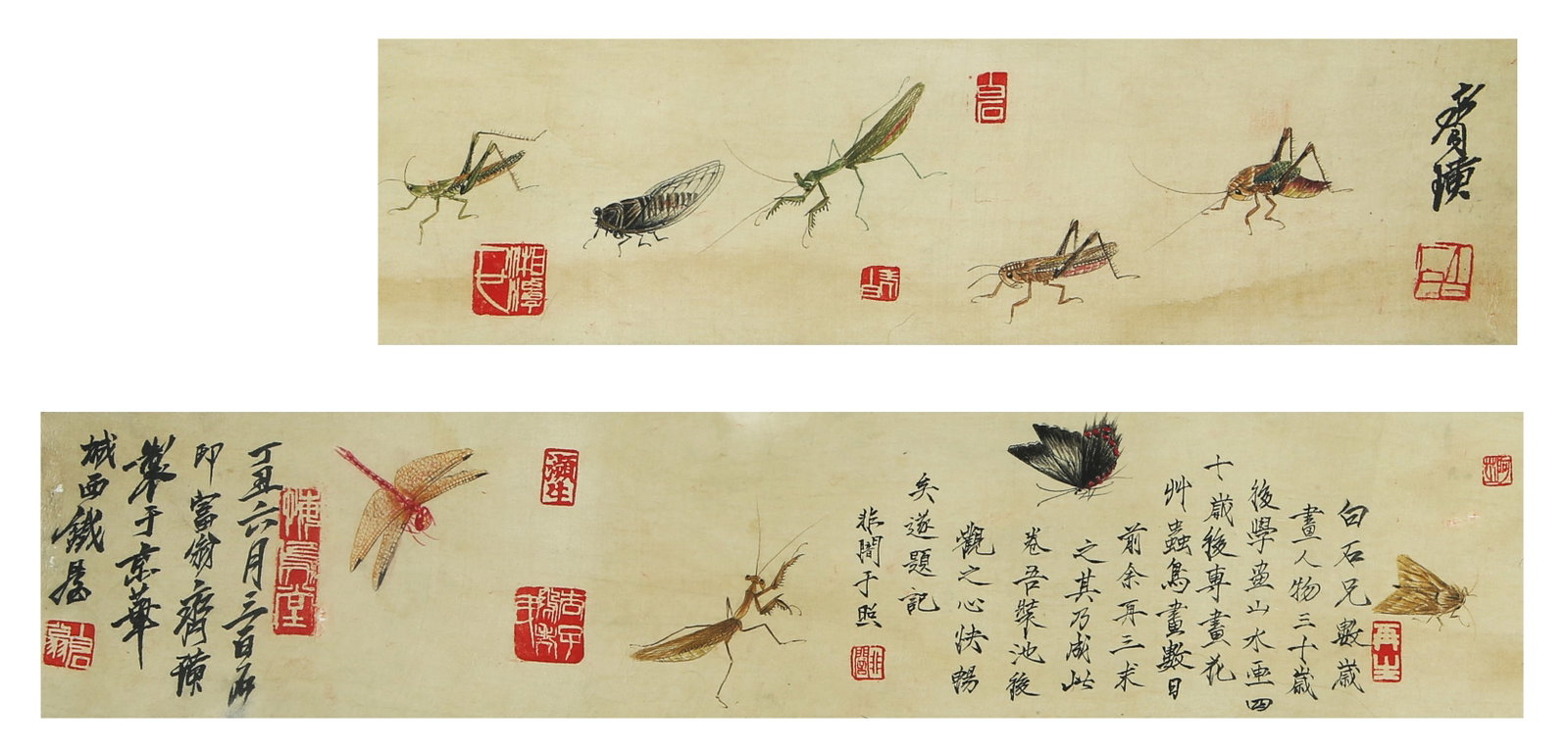 A CHINESE HAND PAINTING WITH THE MARK OF QI BAISHI: A CHINESE HAND PAINTING WITH THE MARK OF QI BAISHI Size:11*100cm