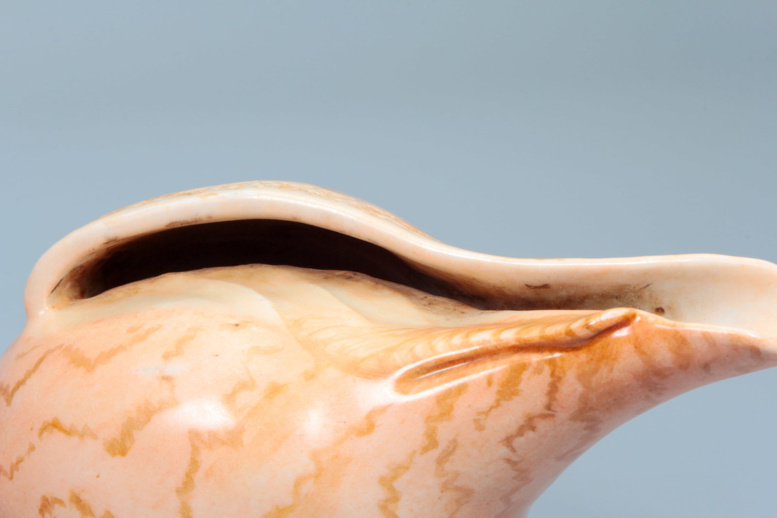 AN IMITATION PORCELAIN CONCH SHELL - 6