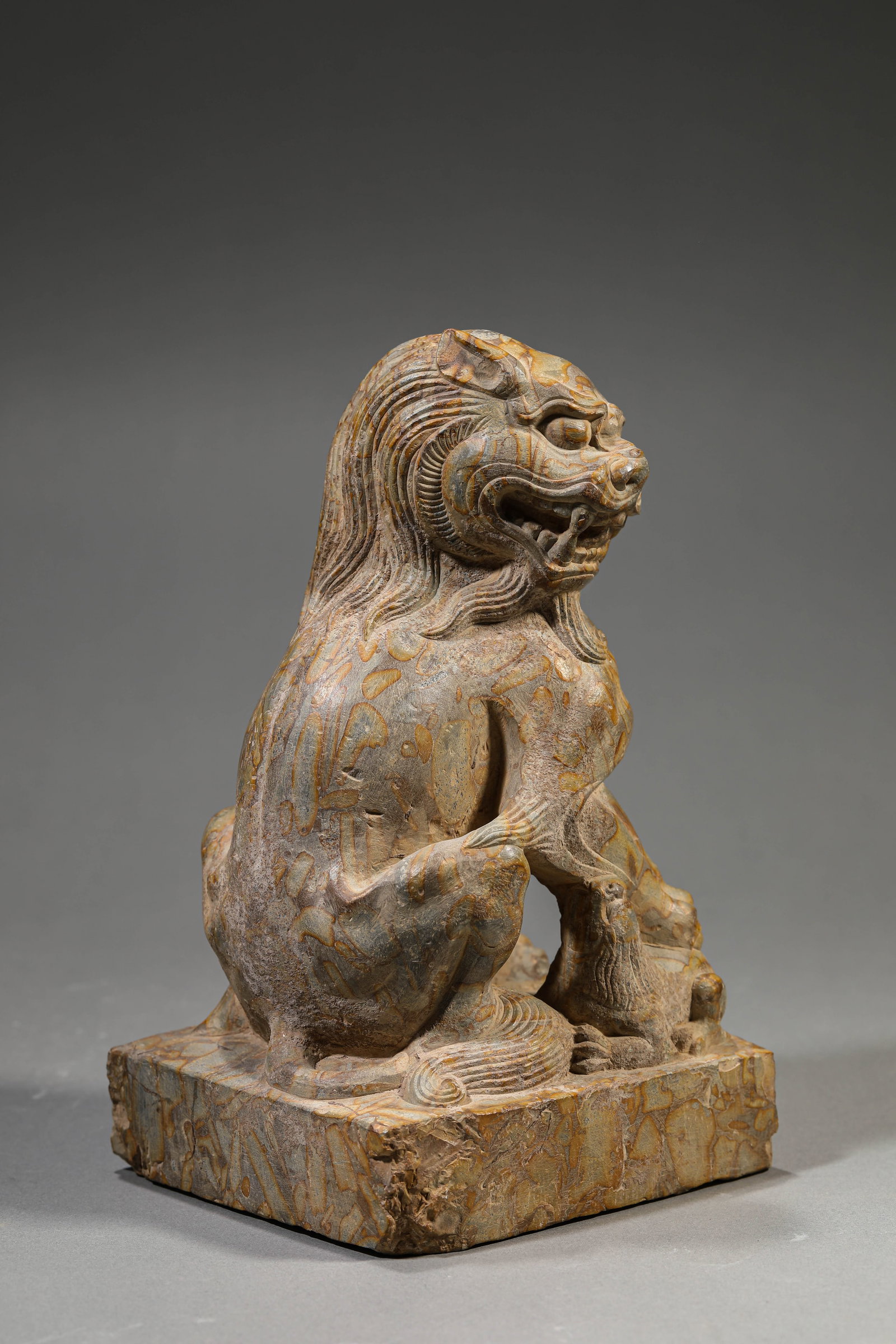 A STONE LION - 4