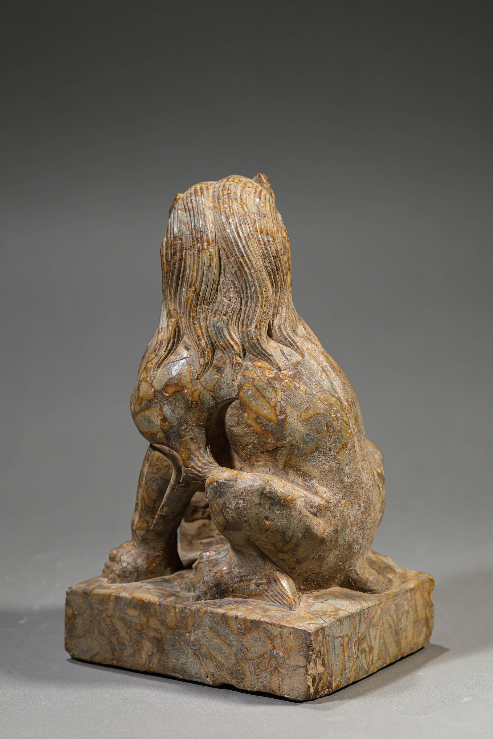 A STONE LION - 5