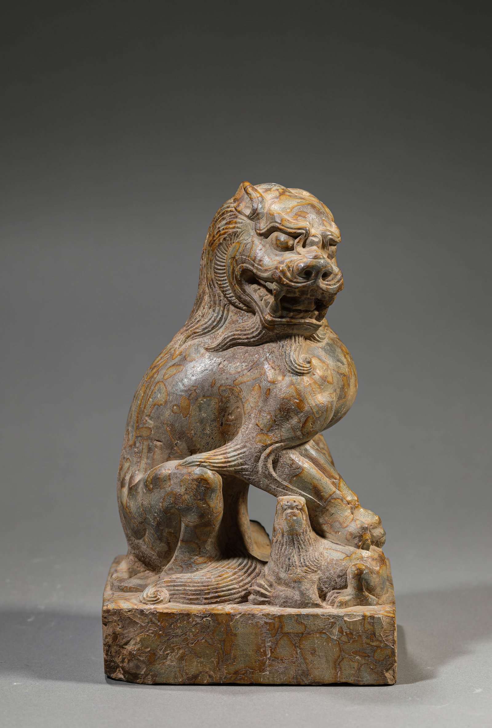 A STONE LION - 6