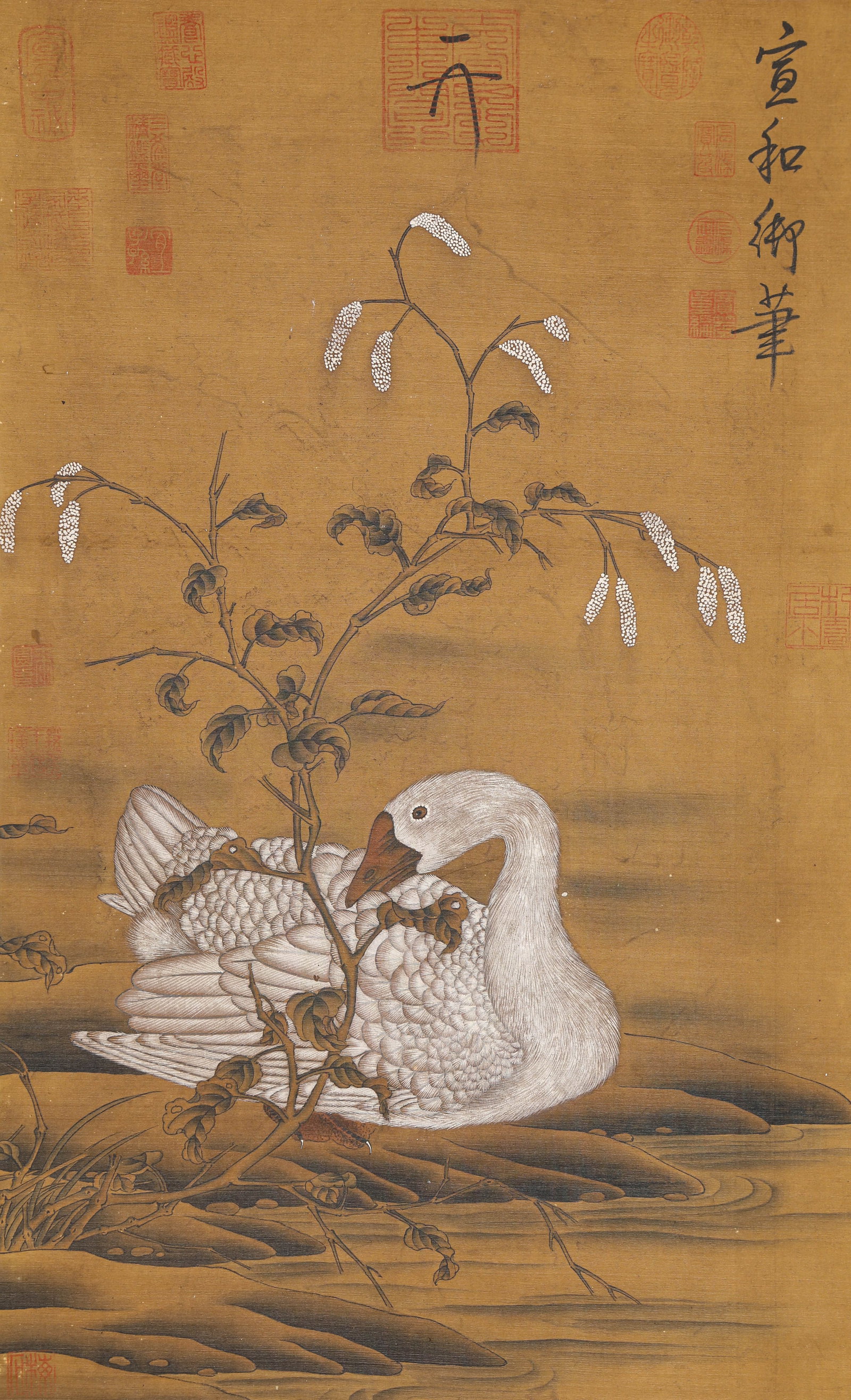 EMPEROR HUIZONG (1082-1135), ATTRIBUTED TO, FLOWER-AND-BIRD: EMPEROR HUIZONG (1082-1135), ATTRIBUTED TO, FLOWER-AND-BIRD Description: Dimensions: Width: 43.5 cm x Height: 72 cm. All measurements are approximate.