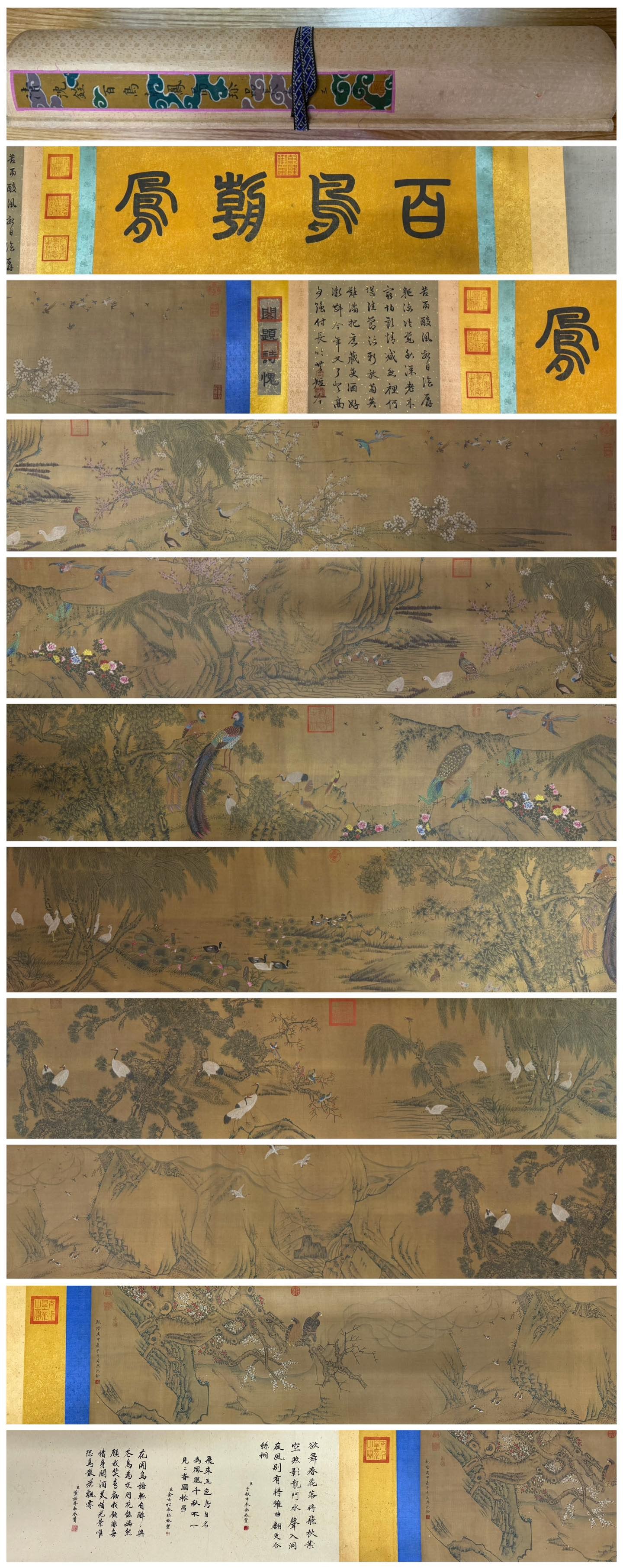 Chinese Drawing Flower and Phoenix Hand Scroll,Shen Quan Mark: Chinese Drawing Flower and Phoenix Hand Scroll,Shen Quan Mark (1440 x 43cm)