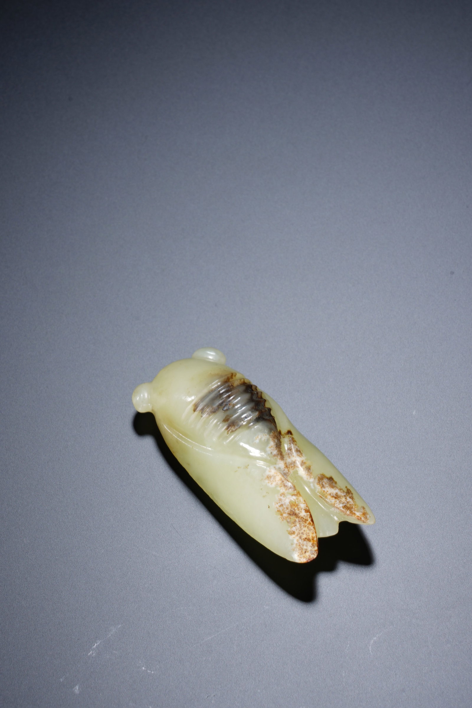 Jade Carved Cicada Shape Ornament - 5