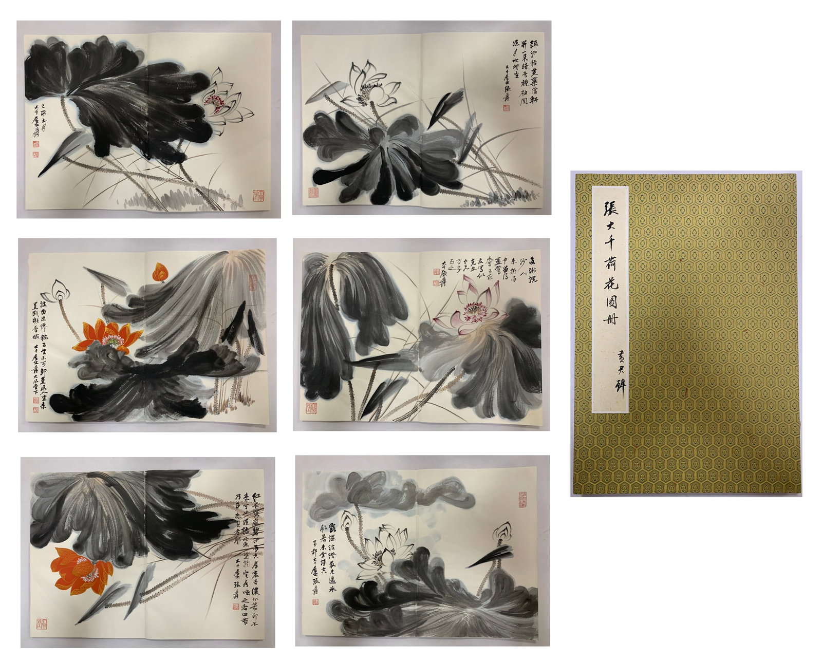 Chinese Drawing Lotus Flower Painting Album,Zhang Daqian Mark: Chinese Drawing Lotus Flower Painting Album,Zhang Daqian Mark (70 x 50cm)