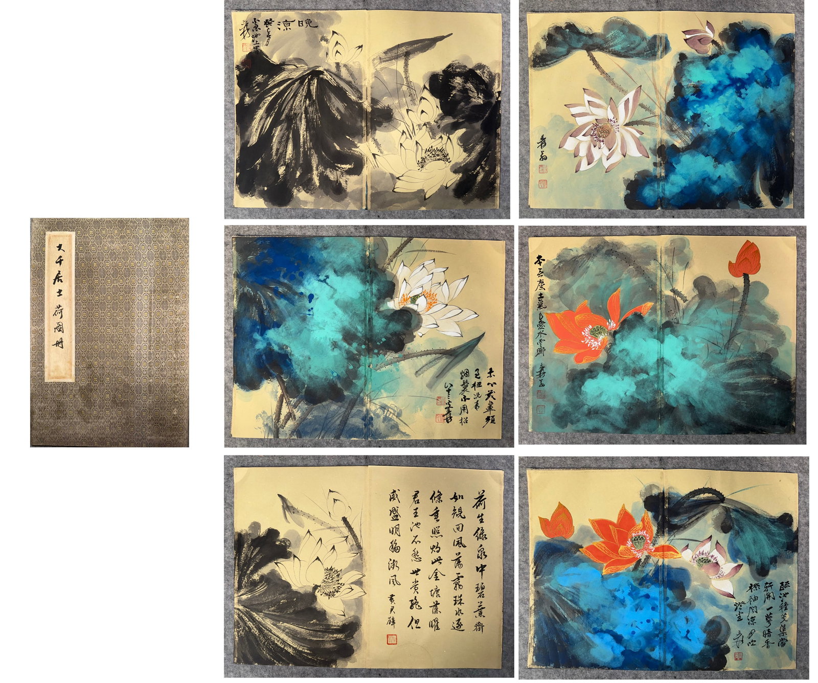 Chinese Drawing Colored Lotus Flower Painting Album,Zhang Daqian Mark: Chinese Drawing Colored Lotus Flower Painting Album,Zhang Daqian Mark (33 x 45cm)
