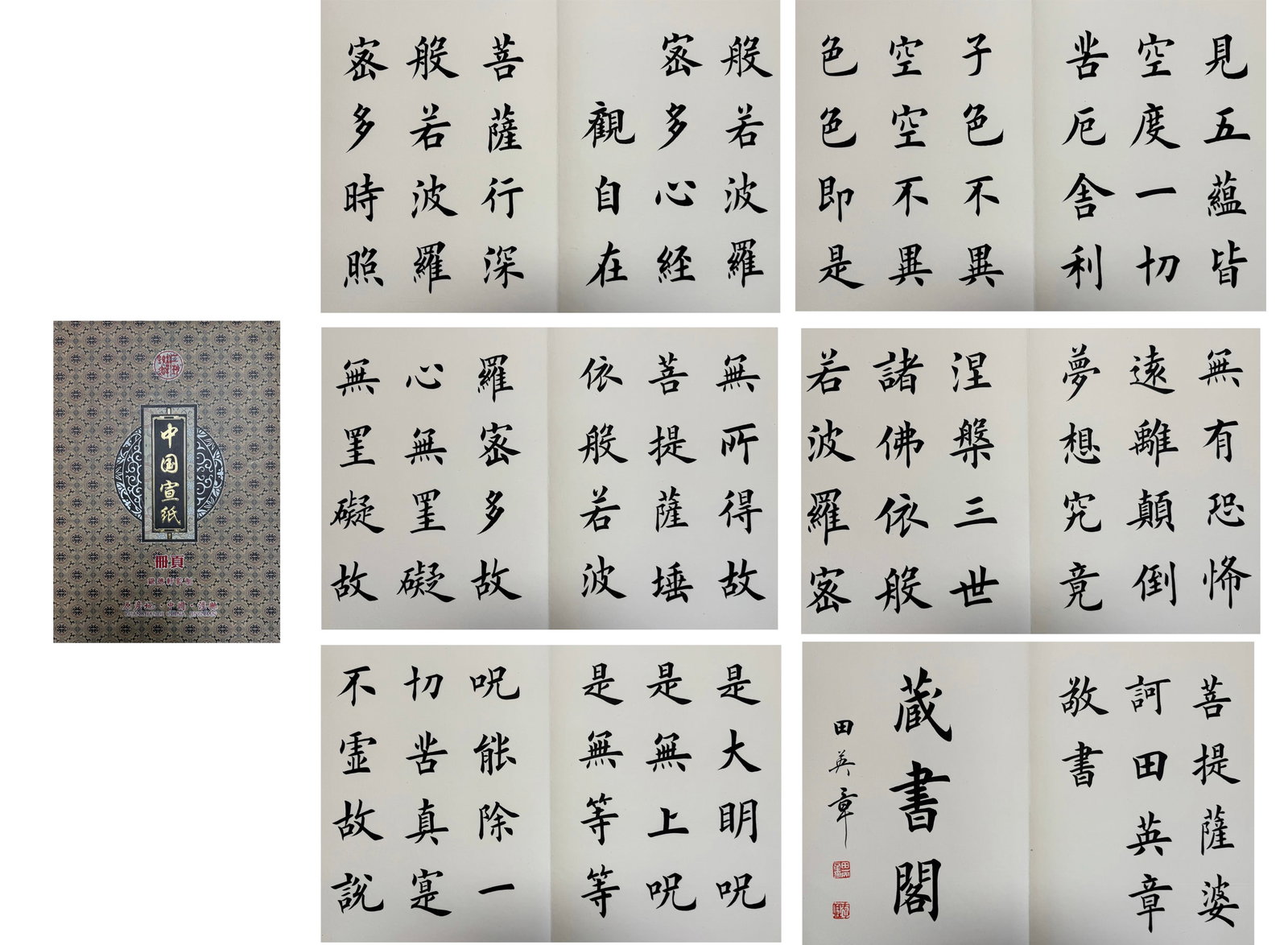 Chinese Writing Calligraphy Painting Album,Tian Yingzhang Mark (1 of 13)