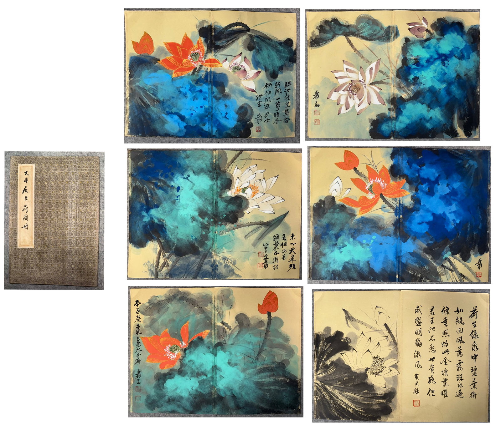 Chinese Drawing Colored Lotus Flower Painting Album,Zhang Daqian Mark: Chinese Drawing Colored Lotus Flower Painting Album,Zhang Daqian Mark (34 x 23cm)