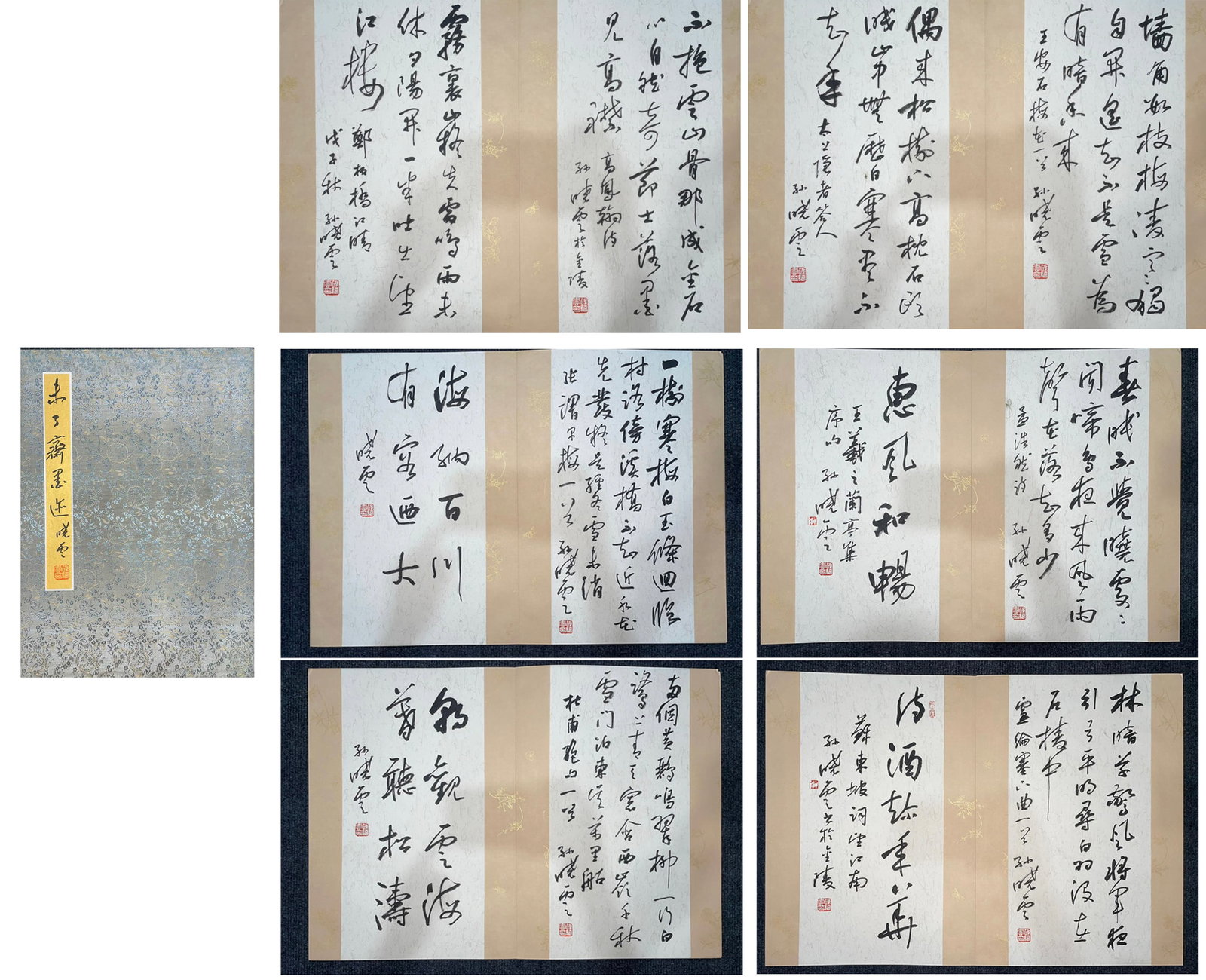 Chinese Writing Calligraphy Painting Album,Sun Xiaoyun Mark (1 of 9)
