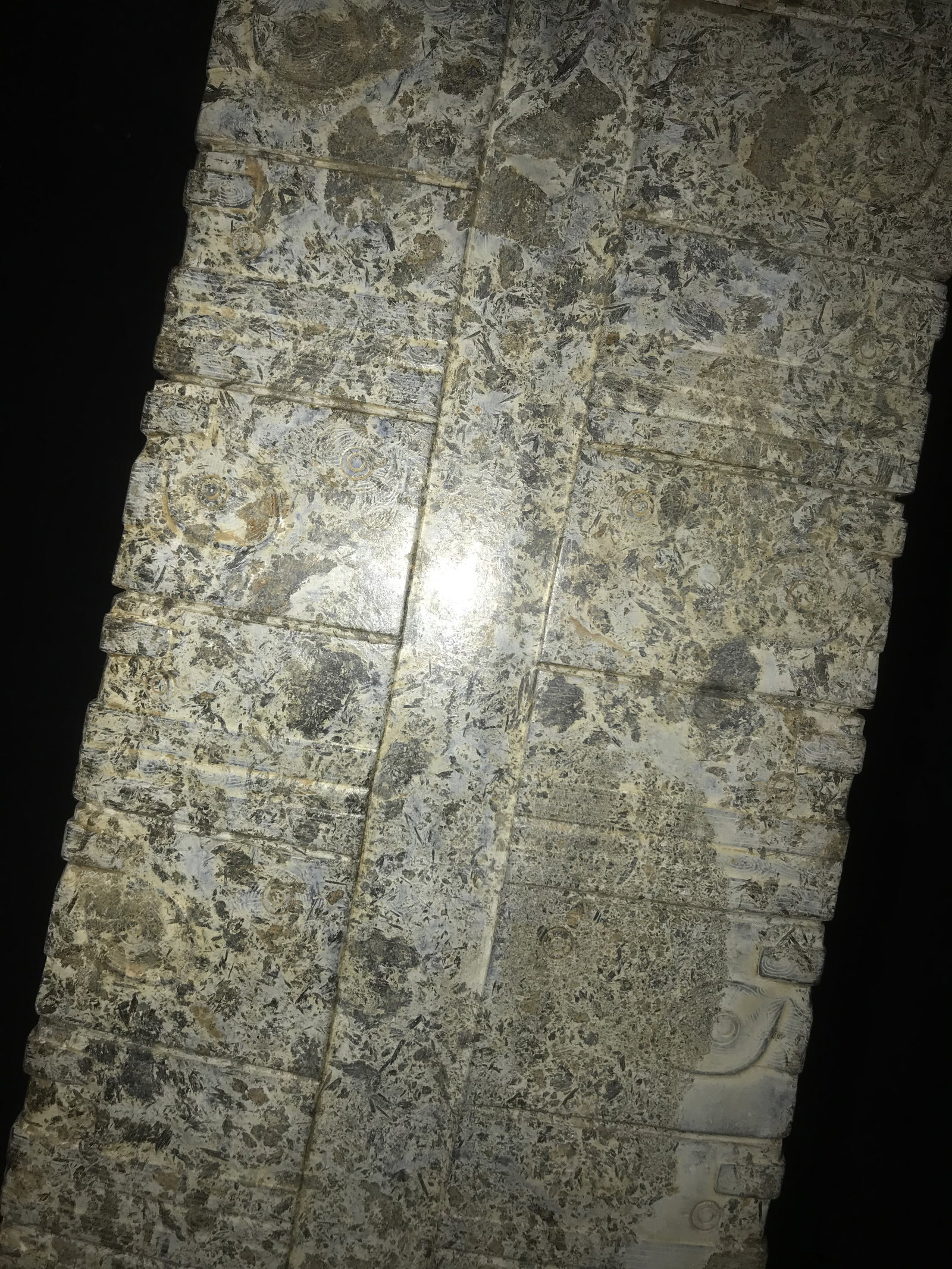Liangzhu Jade Carved Beast Face Pattern Cong - 10